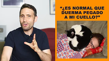 ¿Por qué mi gato me pone la cara en el cuello?