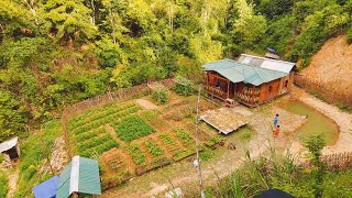 320-day video of building a beautiful, airy wooden house and building a farm
