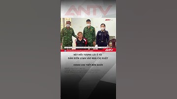 Bắt đối tượng lái ô tô đâm điên loạn vào nhà chị ruột #antv #shorts #damoto