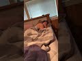 xxx big. ass anal xxxx xxxxx #shortvideo