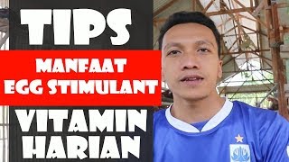 WAJIB TAU !!! MANFAAT EGG STIMULANT UNTUK AYAM PETELUR