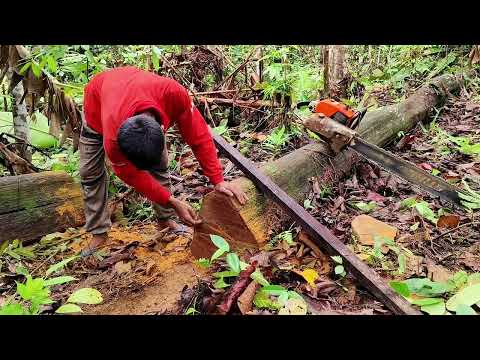 Kecil tapi panjang..!! kayu ulin sensasional