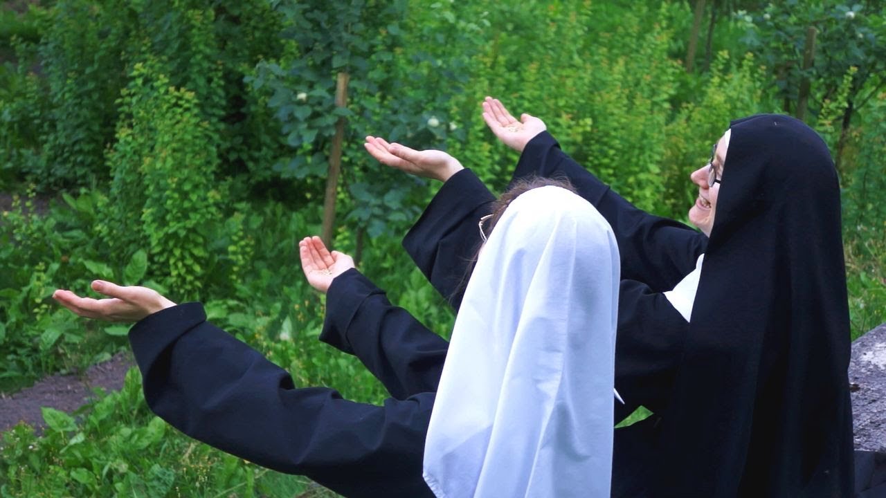 Zapraszamy do ogrodu