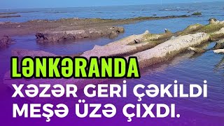 Lənkəranda Xəzər Geri̇ Çəki̇ldi̇ Meşə Üzə Çixdi