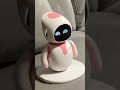 Mr Kevin is on the couch #robot