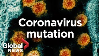 Coronavirus: The pandemic virus is mutating, but there’s no need to panic