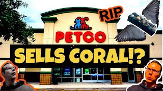 PetCo Sells DEAD Coral?! | Shopping For Macro Algae Tank screenshot 3