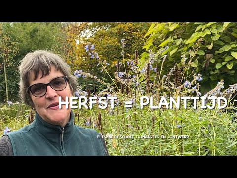 Video: Vraag aan tuiniers: wanneer om lelies in die herfs uit te plant