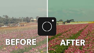 Uploading LUTs to my phone! (Moment Pro Camera Update) screenshot 3