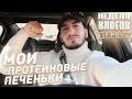 VLOG №2 | БОЖЕСТВЕННЫЙ ЛОСОСЬ