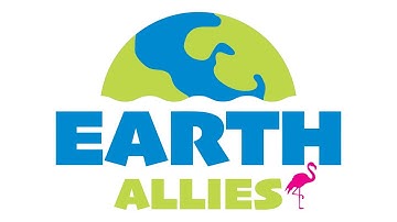 World Robot Olympiad WRO 2024 Theme Video