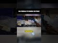NO perder tu dinero en TEMU - Pide tu REMBOLSO #comprasonline