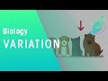 Genetic Diversity and Adaptation in Animal Populations