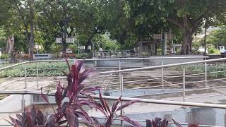 Macuto 2025 Plaza De Las Palomas