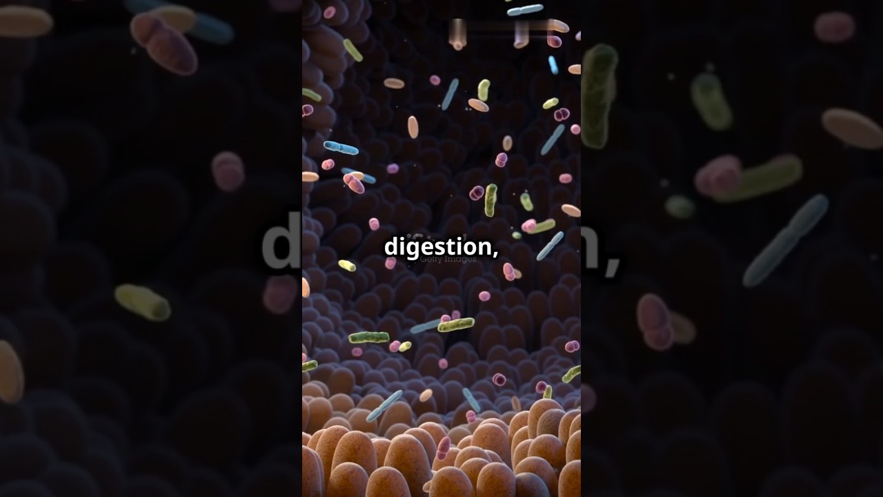 Mind-Blowing Bacteria Facts! 🦠