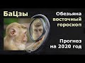 БАЦЗЫ. Прогноз на каждый месяц на 2020 год для людей, рожденных в год обезьяны