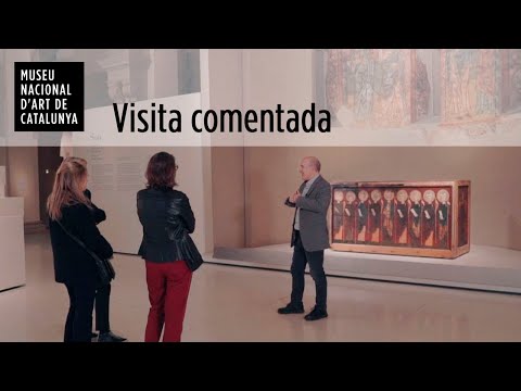 Vídeo: Per a què serveix l'atacamita de cristall?