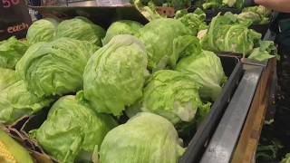 Iceberg lettuce recalled in 27 states as cyclospora outbreak investigation continues