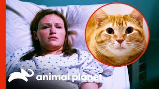 CatScratch Disease Partially Blinds Woman | Monsters Inside Me