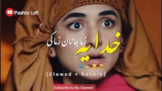 khudya zama janan zma k . (Slowed  Reverb) Pashto Song| Pashto Lofi| 2023 #peshwar #kabul #swat