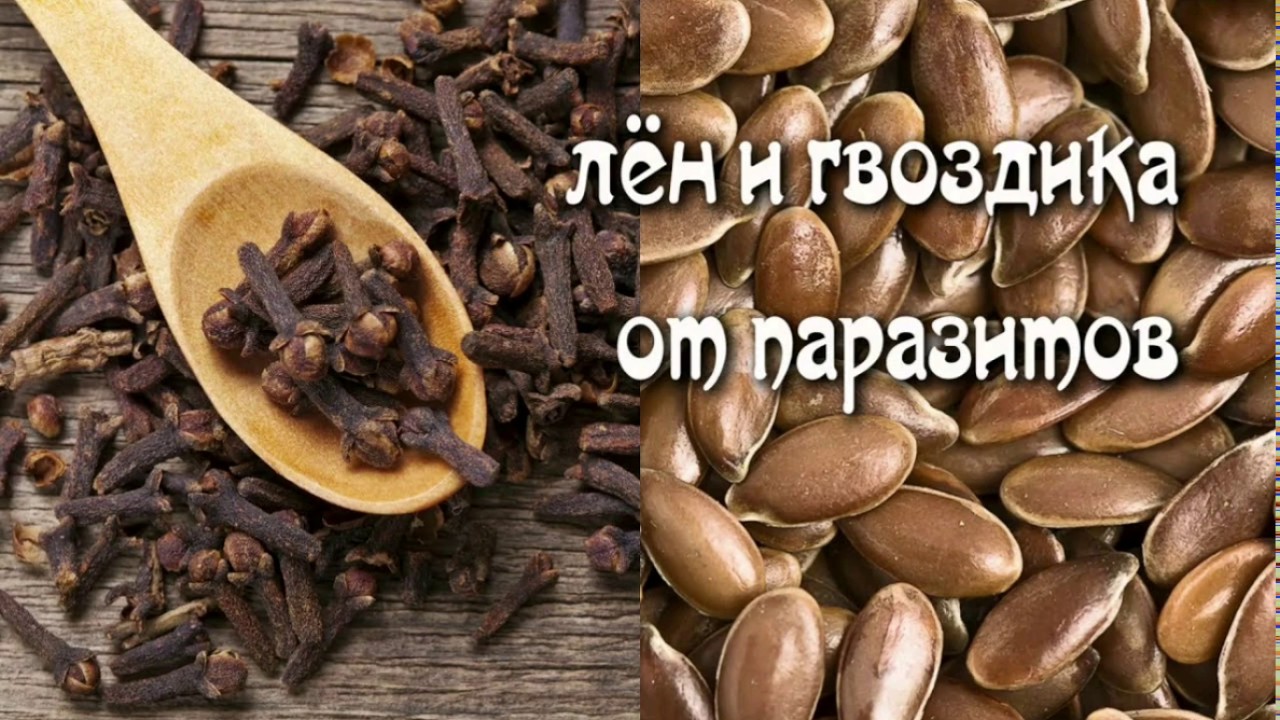 Как очистить организм от паразитов в домашних условиях? - YouTube
