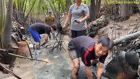 TÁT AO TÔM CÀNG XANH GẶP BẦY CÁ LÓC KHỦNG CHẠY NHƯ BAY ANH EM DÍ BẮT THẤY MÊ/GBMT