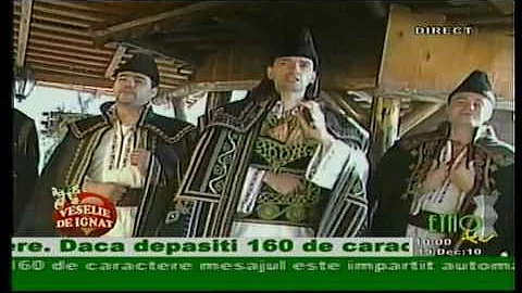 Florin Vasilica - As muri, da' nu acuma - Veselie de Ignat - Etno TV - 19.12.2010