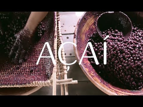 Discover Açaí