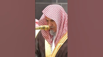 سورة نوح | الشيخ #صالح_بن_حميد