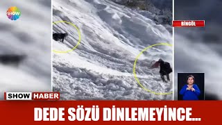 Dede sözü dinlemeyince...