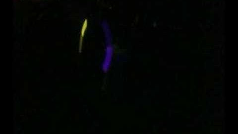 1 1/2 month glowstring progress