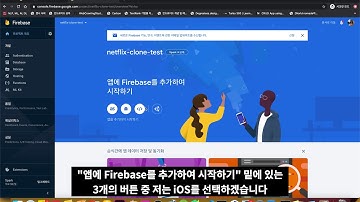 [무작정 플러터] 8. 플러터와 파이어베이스 연동하기 1) 파이어베이스 콘솔 설정 - 넷플릭스 클론 코딩 with Flutter
