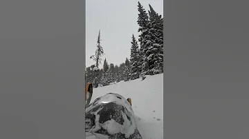 Cooke City January 2025 