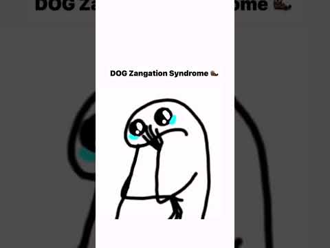 متلازمة زنقة الكلاب الكل عنده ضحك