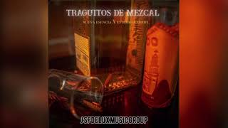 Traguitos De Mezcal- Nueva Esencia X Esteban Gabriel (Audio Oficial) 2021