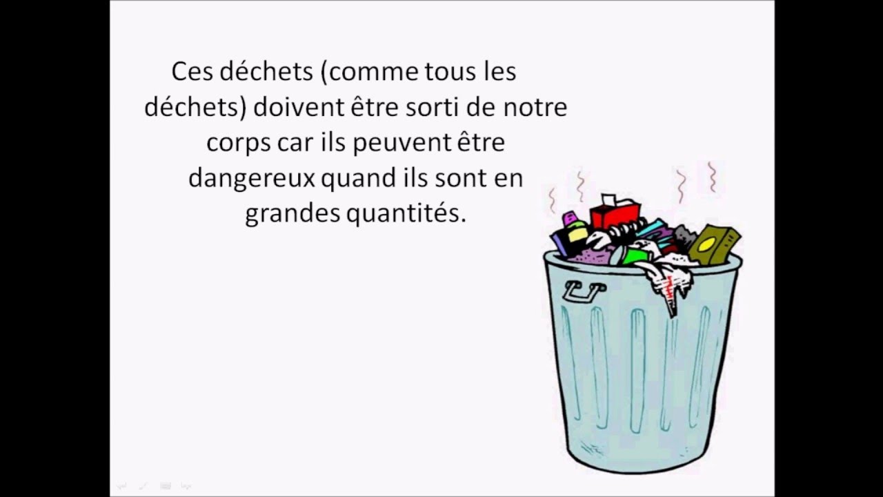 L élimination Des Déchets Svt 5ème