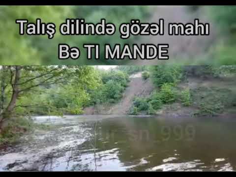 Talış dilində gözəl mahnı - Bə Tı Mande-Əkrəm Qulami