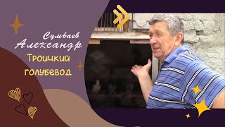 Сумбаев Александр/ Троицкий голубевод, 2022г