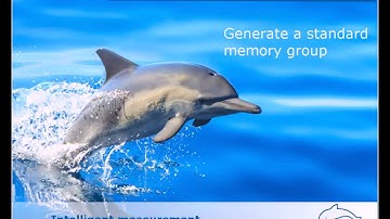 Delphin Technology Tutorial - Simple memory group