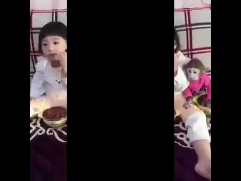 Maymun ile küçük kızın dostluğu