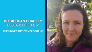 Qarc Episode 1 Exciton Science