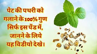 ayurvedic treatment for kidney stone