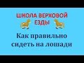 Как правильно сидеть на лошади