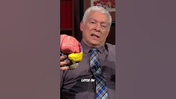 How Traumatic Experiences Impact Memory and Stress Response