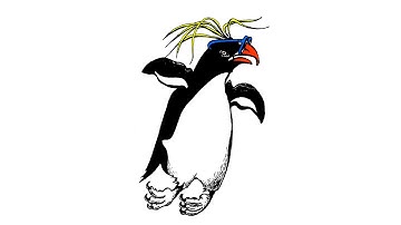 Rockhopper - MusicK8.com Singles Reproducible Kit