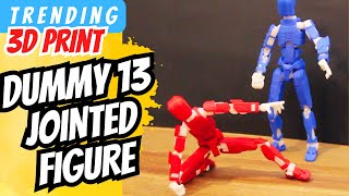 Flexible Or Stiff? Exploring Different Skeletons With 3D Printing.