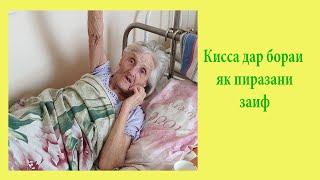 Кисса дар бораи як пиразани бемор