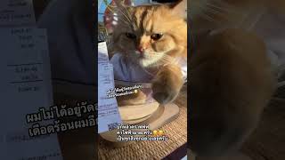 ‼️เดี๋ยวๆครับพ่อ🔥ผมไม่ได้อยู่วัด 2 เดือนเลยนะครับพ่อ เมื่อพ่อบอกค่าไฟมาแล้ว