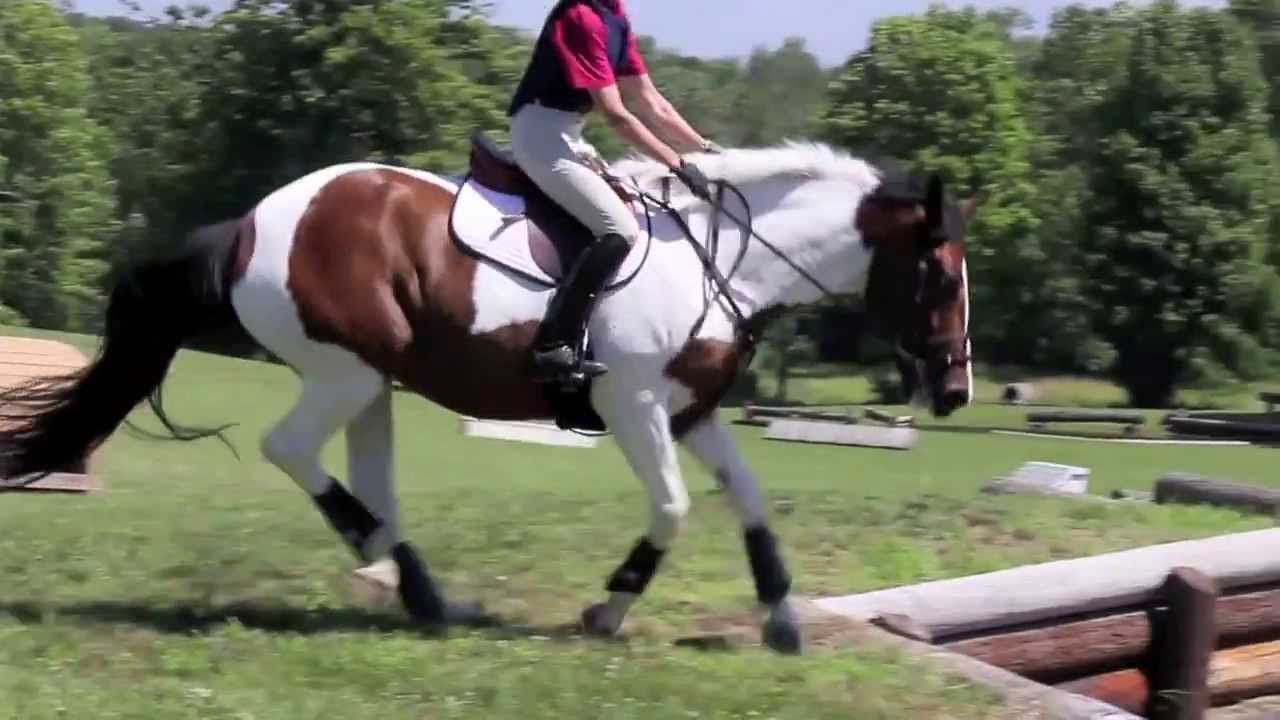 Boyd Martin Clinic || CS&W farms July 4th, 2013