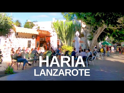 Lanzarote Haria - No. 1 Lanzarote day trip with Relaxing, Natural Sounds (ASMR)